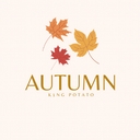 Cover of album Autumn by K1NG P0TaT0z .2k. -_-