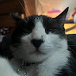 Avatar of user alicegomez