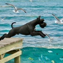 Avatar of user Monbass65