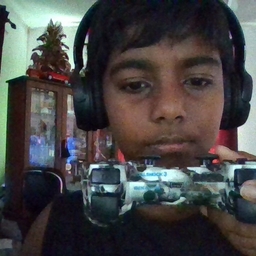 Avatar of user proansh1236