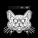 Avatar of user Elektrokot