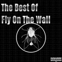 Cover of album The Best of Fly On The Wall by DARKWOODS SOUNDS