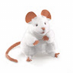 Avatar of user ratatuyul