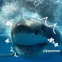 Avatar of user IlovesharksXD