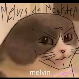 Avatar of user melvin the mewster