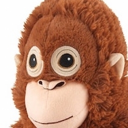 Avatar of user Oranguu 2k