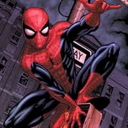 Avatar of user Spiderman_Lover