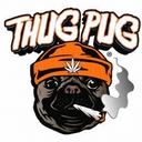 Avatar of user VoltZ pug