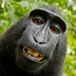 Avatar of user orlando14