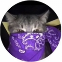 Avatar of user Gangster cat