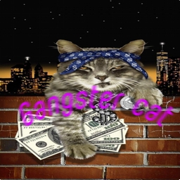 Avatar of user Gangster cat