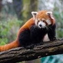 Avatar of user TedheMedhe