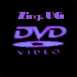 Avatar of user Ｚｉｎｇ.ＵＧ