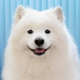 Avatar of user melonseed21