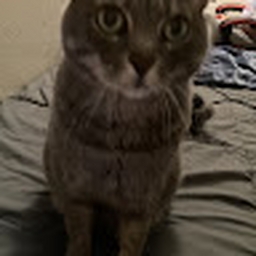 Avatar of user DontEditThat