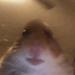 Avatar of user Niqhqcsbcoe