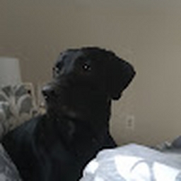 Avatar of user Richardcccc