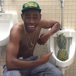 Avatar of user tylerthecreator