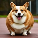 Avatar of user morbidly obese dog