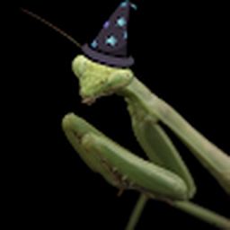 Avatar of user WizardMantis441