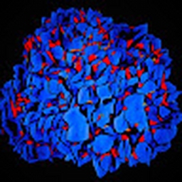 Avatar of user darklitebeats