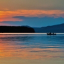 Avatar of user JDog1