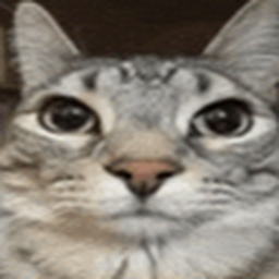 Avatar of user johnnybanas