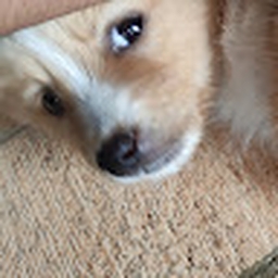 Avatar of user Se77en