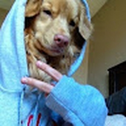 Avatar of user l0ube