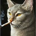 Avatar of user dmmdmdmdmdma