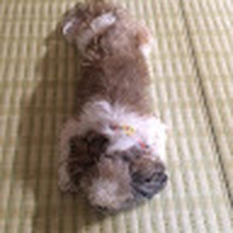 Avatar of user Glu0N_makolite