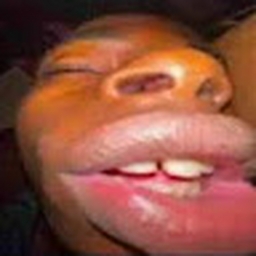 Avatar of user imcool123432