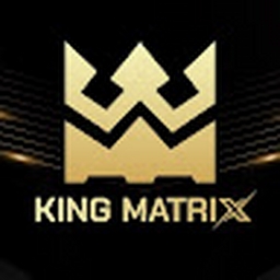 Avatar of user KingMatrix