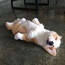 Avatar of user DaKoolKid010