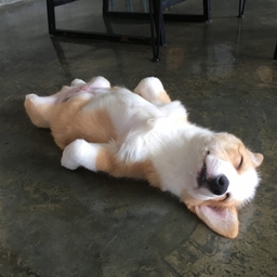 Avatar of user DaKoolKid010