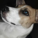 Avatar of user Picklerickjames