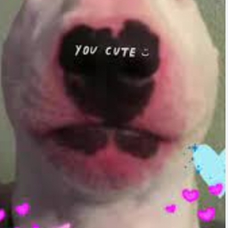 Avatar of user ThickPuppyStudios