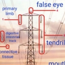 Cover of album August 2024 by Underb111te