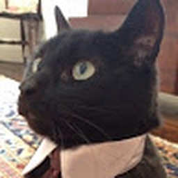 Avatar of user gunfish