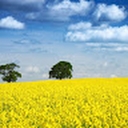 Avatar of user supersupersuper