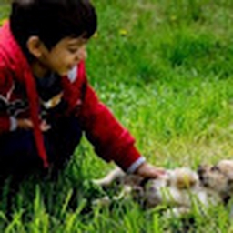 Avatar of user Burek_LoverMan69