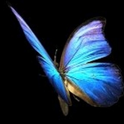 Avatar of user liv90216789943