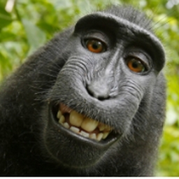 Avatar of user k_ztars