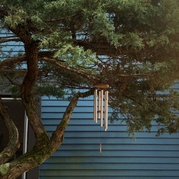 Avatar of user Velvet Skies