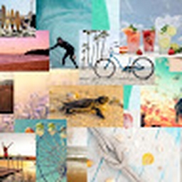 Avatar of user lkmnhjbgfvytcrvbhjnkml