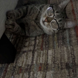 Avatar of user jacobschool