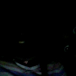 Avatar of user irainnehtrac12