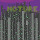 Cover of album NOTURE by THE BIRDS WRIGHT