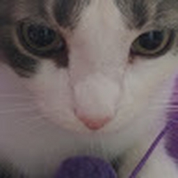 Avatar of user Superbrosyt