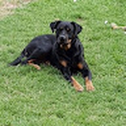 Avatar of user stiffler_no1